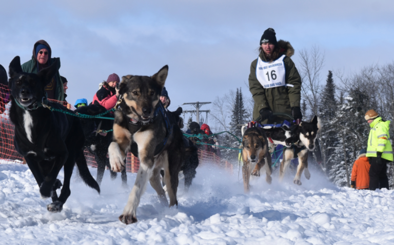 Climate Change Threatens the Future of Sled Dog Racing and Winter Sports