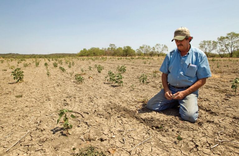 Extreme Drought Devastates West Texas Agriculture and Economy