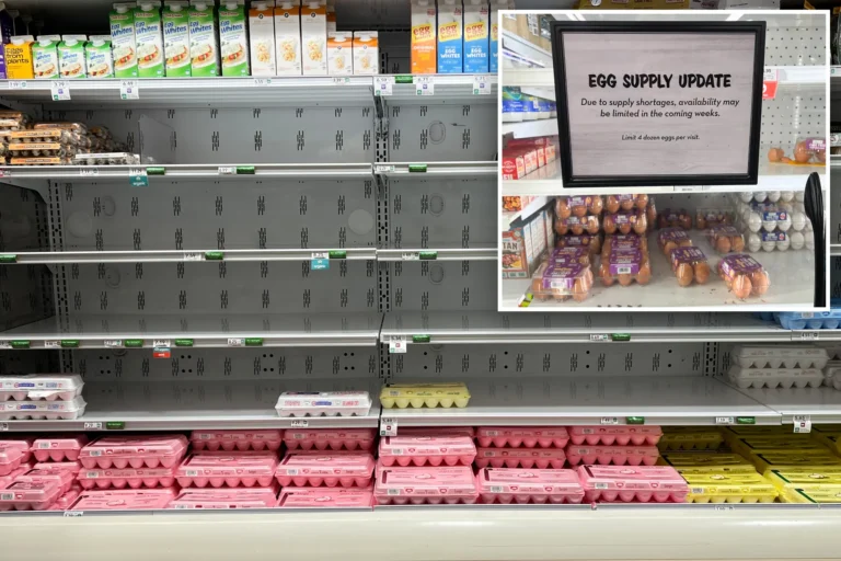 How Climate Change is Contributing to the Egg Shortage