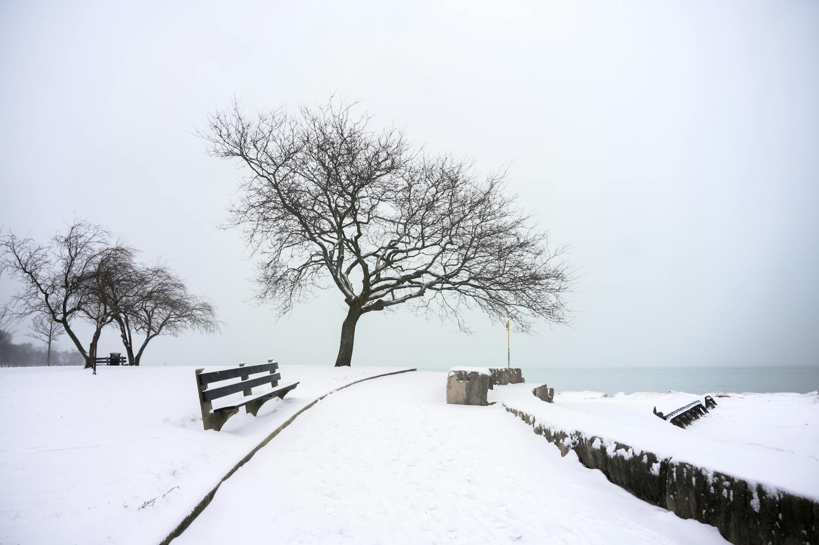Serene winter scene at a lakeside park in Chicago, with bare trees and snow-covered path.