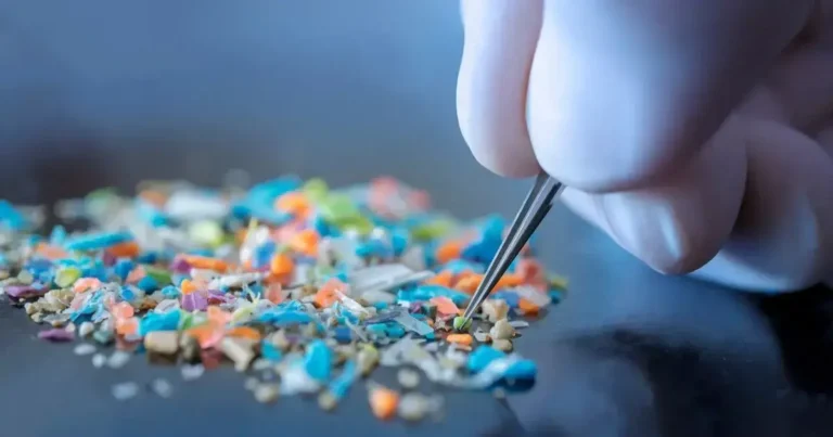 Microplastics in 99% of Fish: What It Means for Your Health
