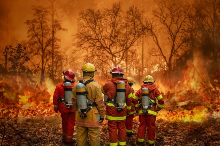 The Global Fire Crisis: Why the World Is Unprepared for Climate Disasters