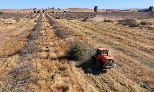Oranges, Coffee and Chocolate Have Been Hit Hard By Climate Change