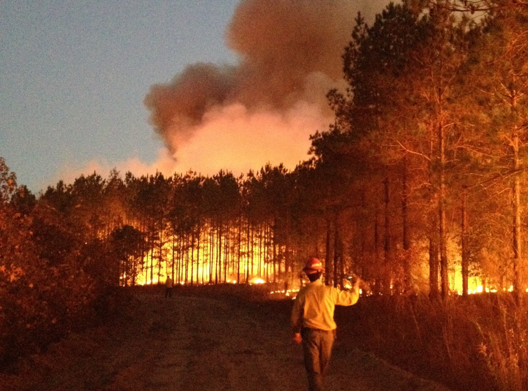 Wildfire Risk in Southeast Spike Like Those In California