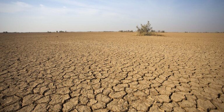 Severe Drought in Southwest Texas Threatens Water Supply and Agriculture