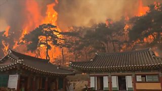 South Korea’s Worst Wildfires in History Fueled by Climate Change