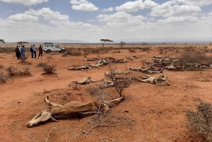Historic Western U.S. Drought Threatens Agriculture and Economy