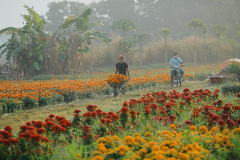 Climate Change Poses A Big Danger To Those That Do Outdoor Work