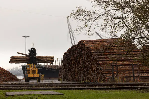 Trump’s Logging Plan: Will It Help or Hurt Construction Costs?