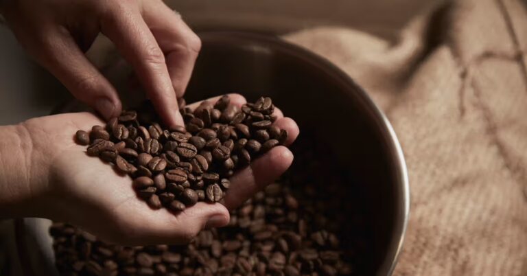 Climate Change May Force a Change To Your Coffee and Chocolate