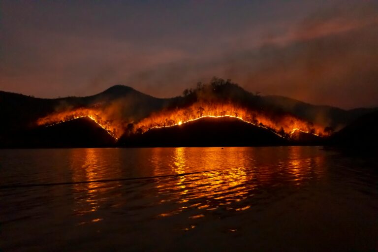 Americans Move To Most Dangerous Wildfire Cities