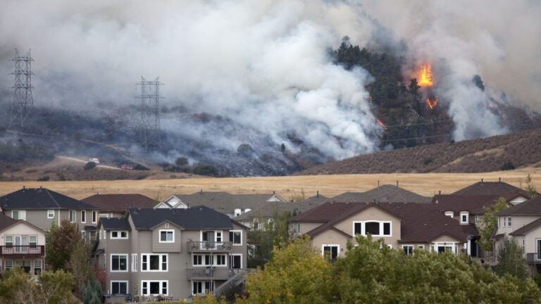 Americans Keep Moving To Areas With Wildfires, but Why?