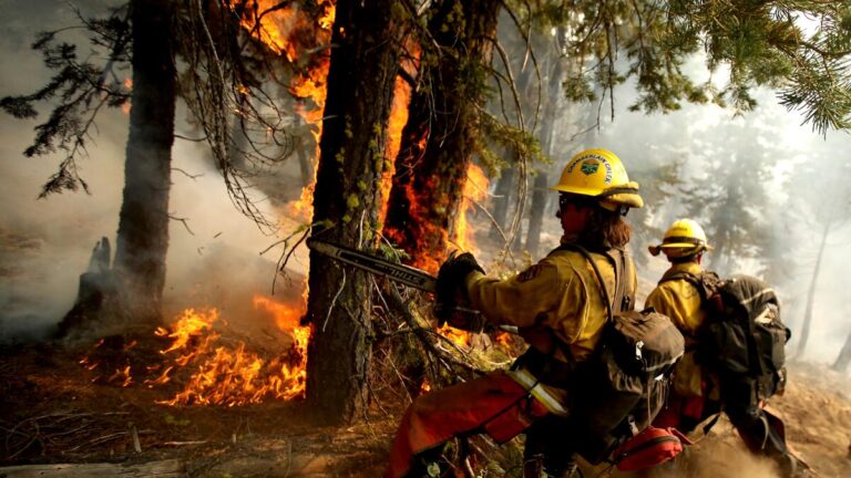 Worsening Drought Raises Wildfire Risk in Southern New Jersey and Beyond