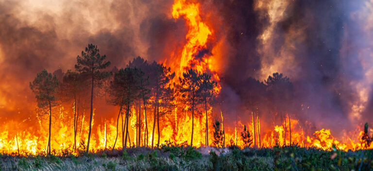 Why Wildfire Risk Is Rapidly Growing Along the U.S. East Coast