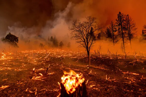 Wildfire Destruction Rose By 650% in 2024