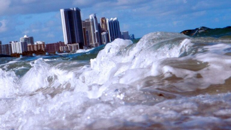 Rising Seas Threaten to Submerge Jacksonville, Savannah and Other Coastal Cities Within a Decade