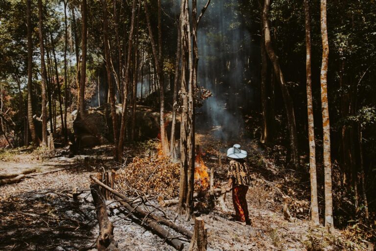 A woman stands in a forest observing a small fire, surrounded by trees and smoke.