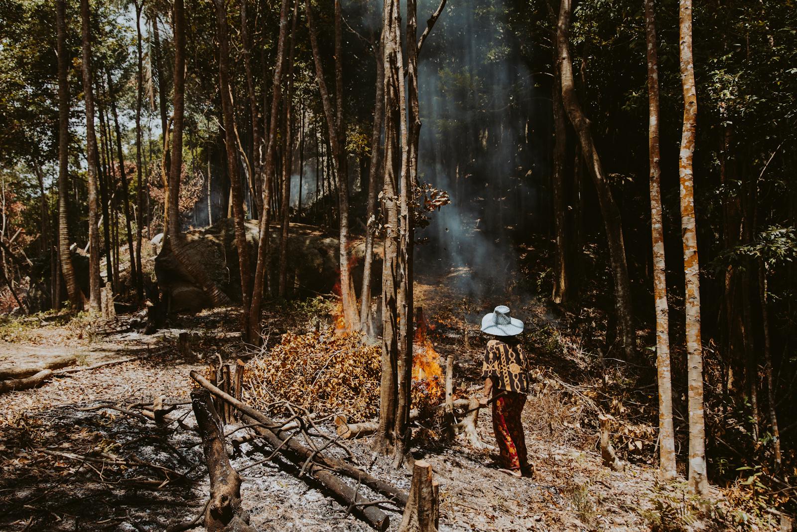 A woman stands in a forest observing a small fire, surrounded by trees and smoke.