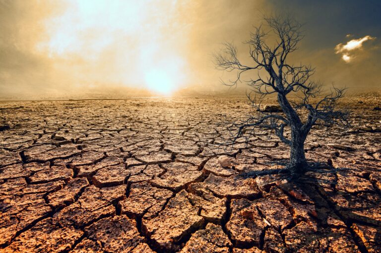 Why Heat and Drought Are Turning Phoenix into a Climate Danger Zone