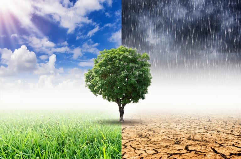 Why It’s So Hard to Prove Climate Change Causes Specific Weather Events