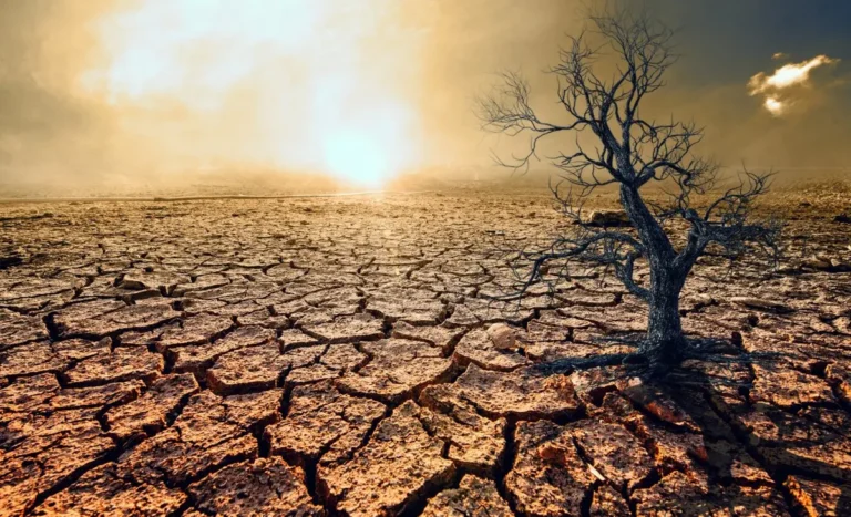 Las Vegas and Phoenix To Endure Extreme Heat and Drought This Summer