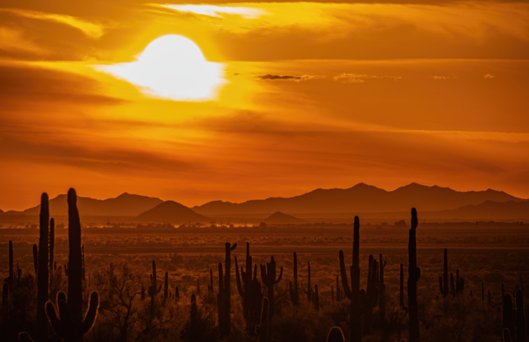 Early Extreme Heat in Phoenix Signals Summer Power and Economic Strain