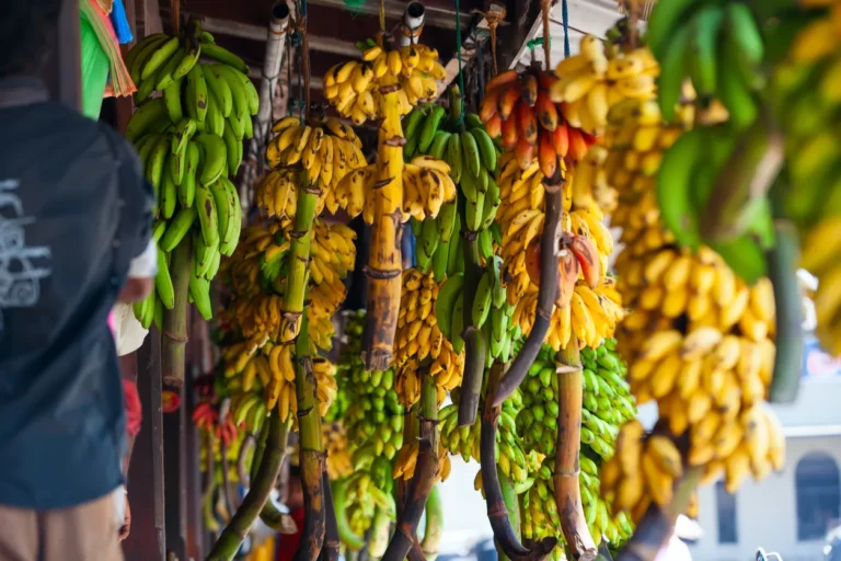 Climate Change Threatens Global Banana Supply