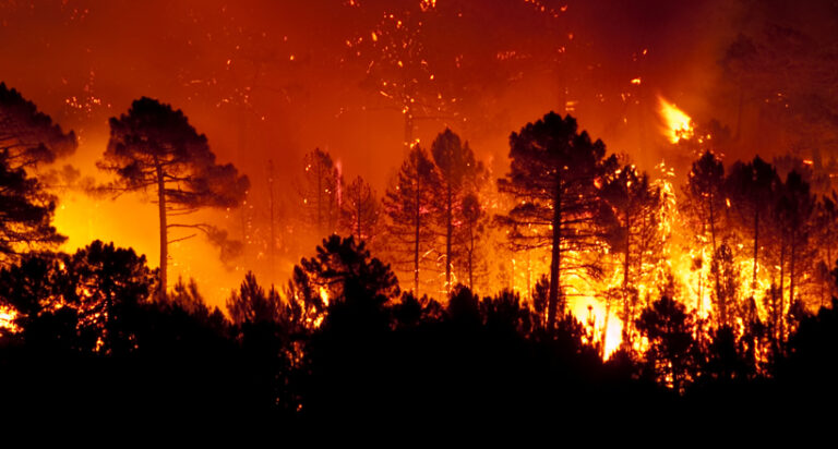How Climate Change is Making Wildfires Deadlier Across the U.S.