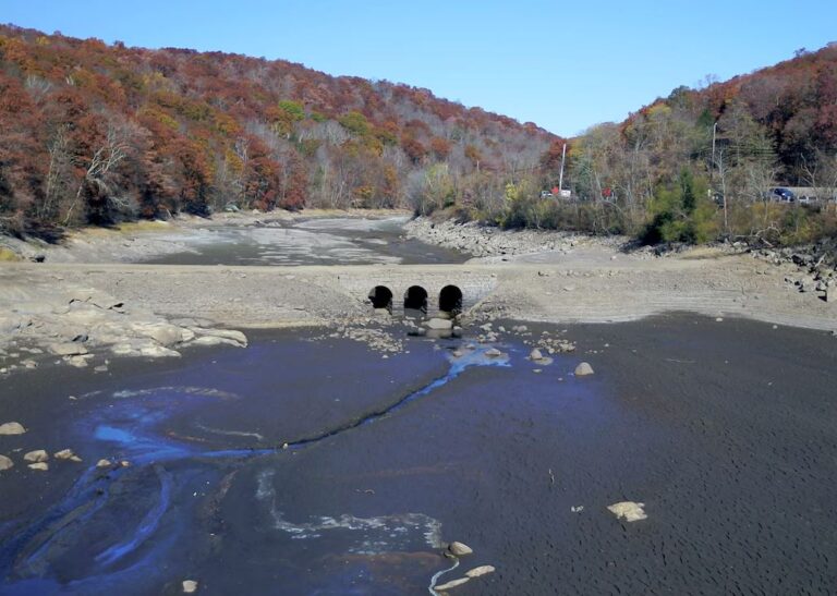 Central New Jersey Drought Worsens, Increasing Risk of Wildfires