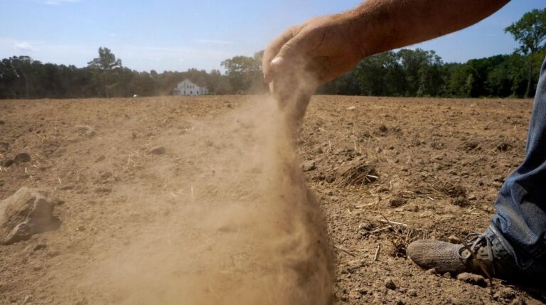 Florida’s Unusual Drought Sparks Wildfire Threat Near Disney & Orlando