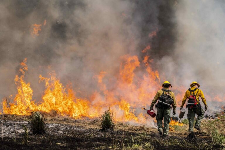 Wildfire Danger Intensifies North of Los Angeles Amid Renewed Drought