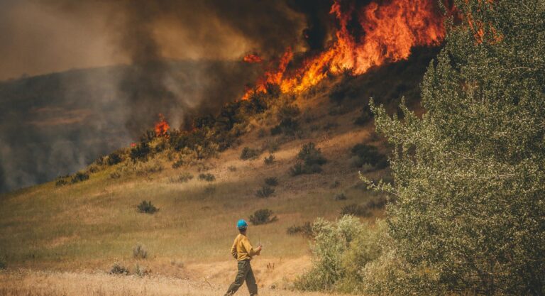 Orlando Area and Disney Face Severe Drought and Wildfire Threats