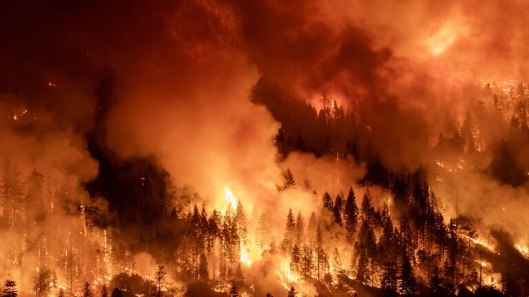 Wildfires Roar Across America