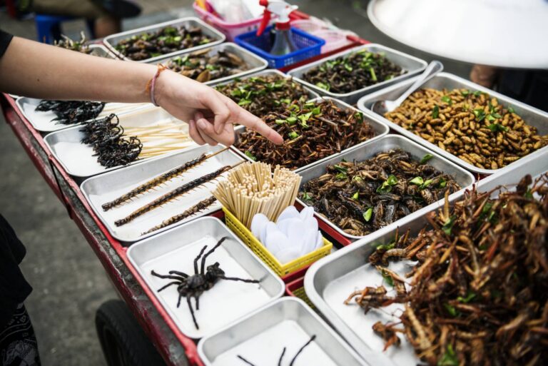 Eating Insects Becomes a Key to Fight Against Climate Change