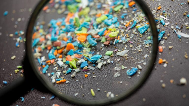 Microplastics Enter Your Body Through an Unexpected Source