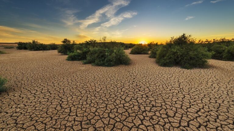 Severe Drought Undermines Water Supply In Texas