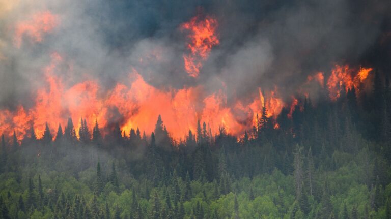 Canada’s Wildfires May Burn for Decades
