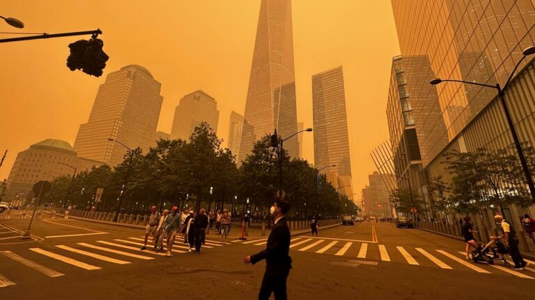 Canadian Wildfires Worsen Air Quality in New York City, Triggering Health Alerts