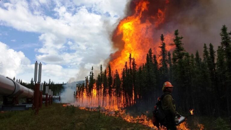 Canada’s Remote Wildfires An Unstoppable Global Threat