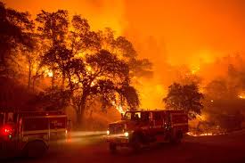 Wildfire Costs Jumps, Californians Chop Climate Spending