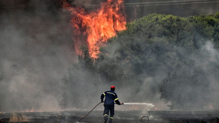 Historic Wildfires Feed Global Climate Crisis