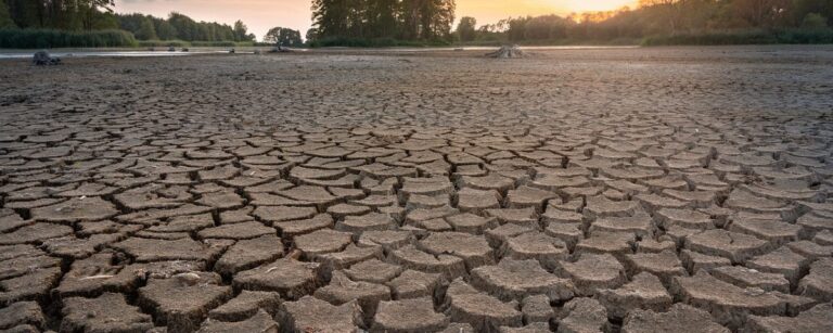 Global Drought At Alarming New High, UN Warns