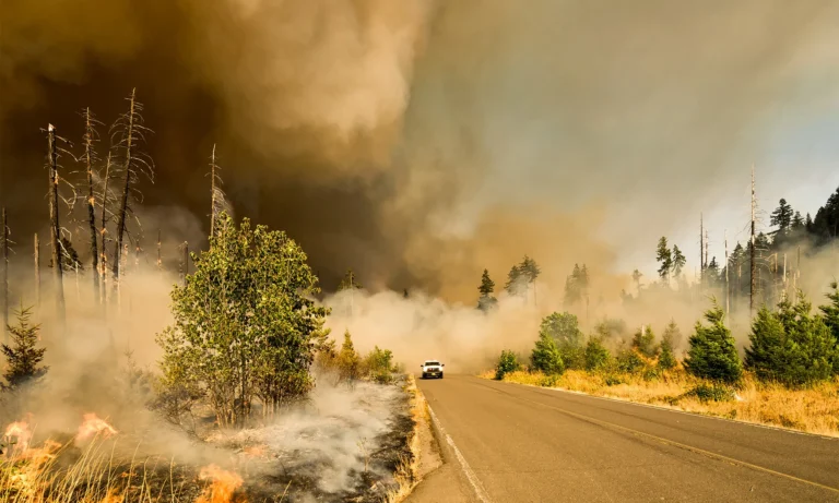 Wildfire Smoke Blankets Much of the U.S. Year-Round