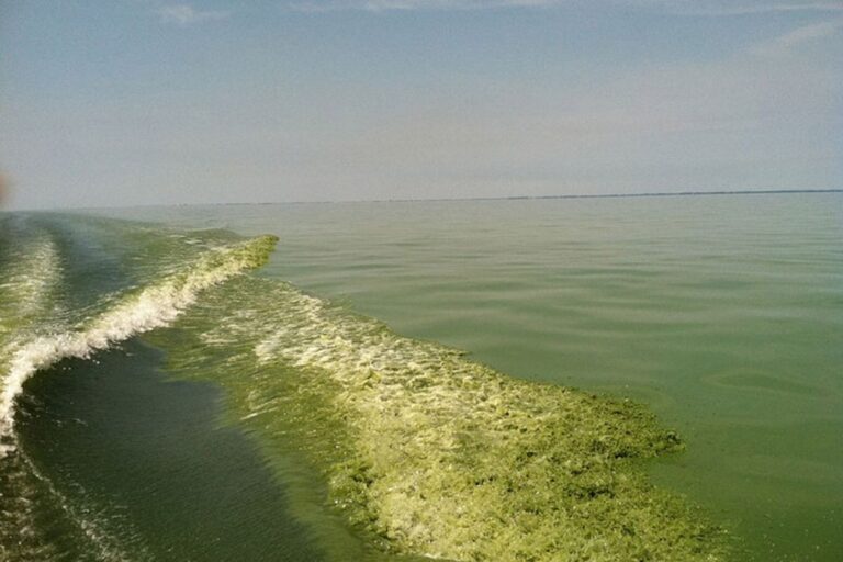 Warming Great Lakes Bring Polluted water and Winter Shipping