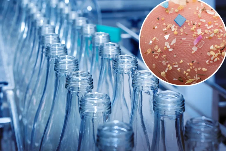 Glass Bottles Have More Microplastics Than Plastic Ones