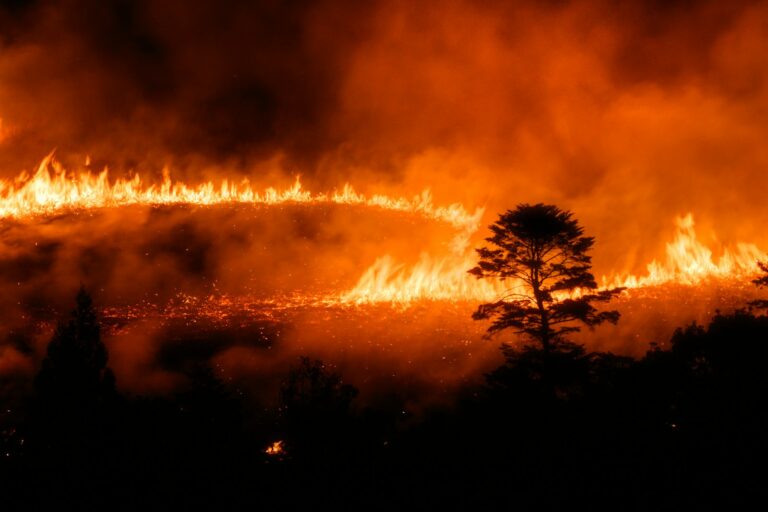 A large fire is burning in a field