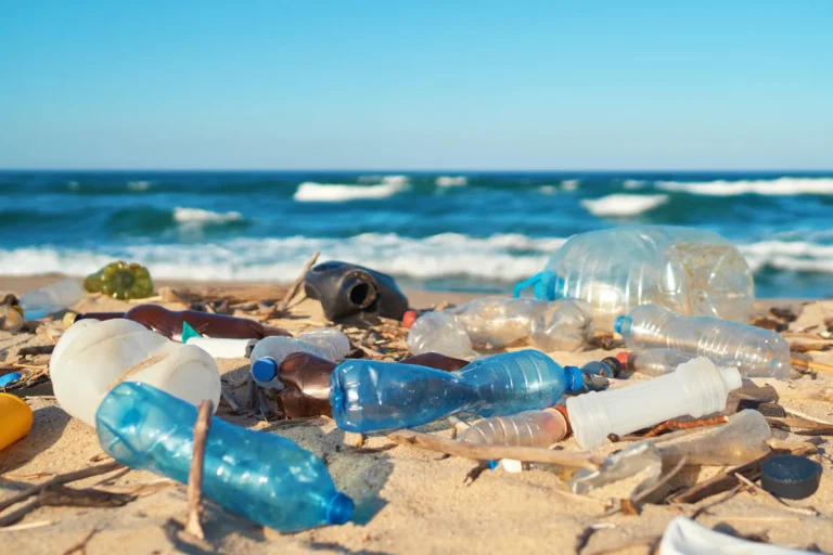 The Worst State in America for Fighting Plastic Pollution