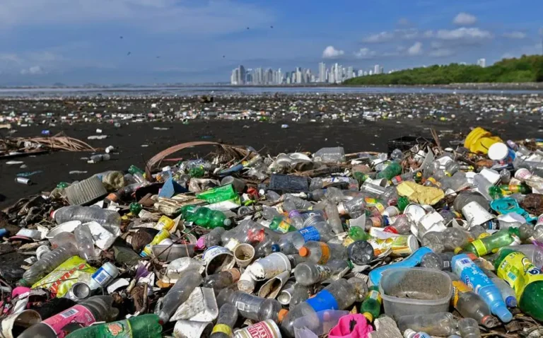 Global Plastic Pollution Treaty Falls Apart, Health Risks Rise