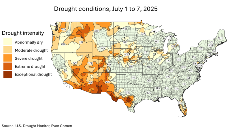 Kerr County In Texas Is One of the Driest Places in US: That’s What Made Flash Flooding So Severe