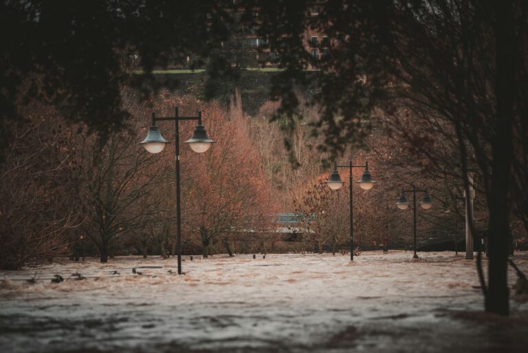 a bunch of street lights that are in the snow